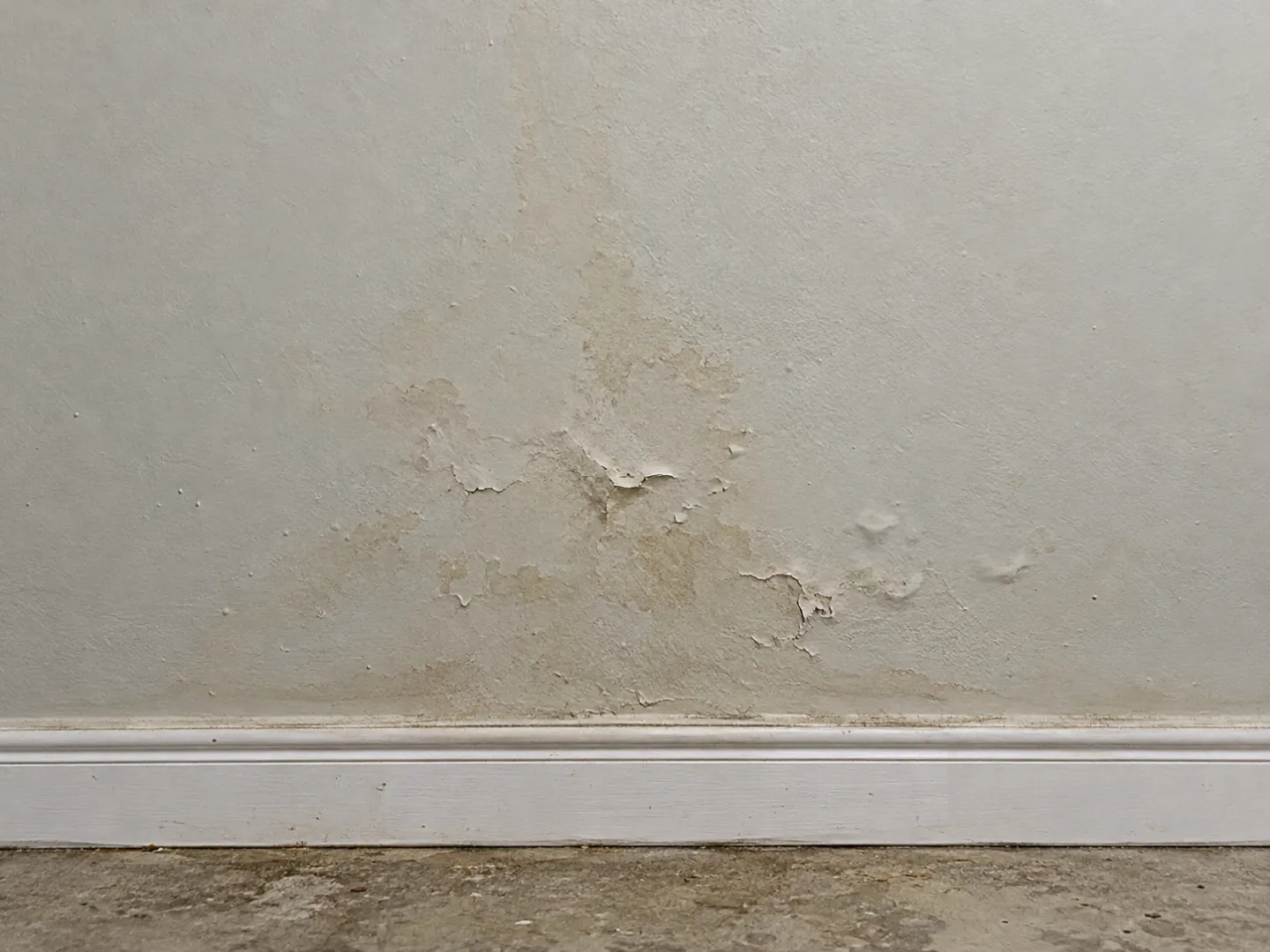 Close-up of staining or bubbling paint on a basement wall